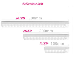 LED Motion Sensor Cabinet Light