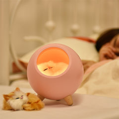 LED Cat Light